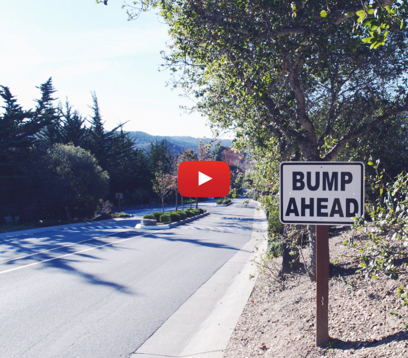 Leafy street with a bump ahead sign