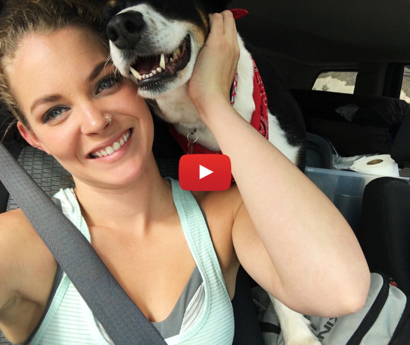 Young woman in the front seat of her car with her dog